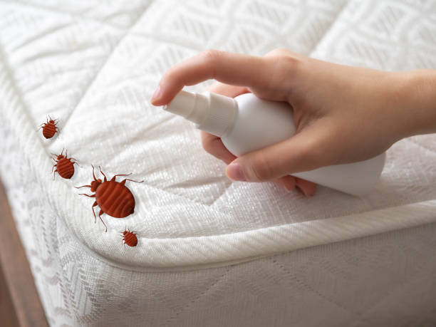 Best Affordable Pest Control Services  in Wellston, OH