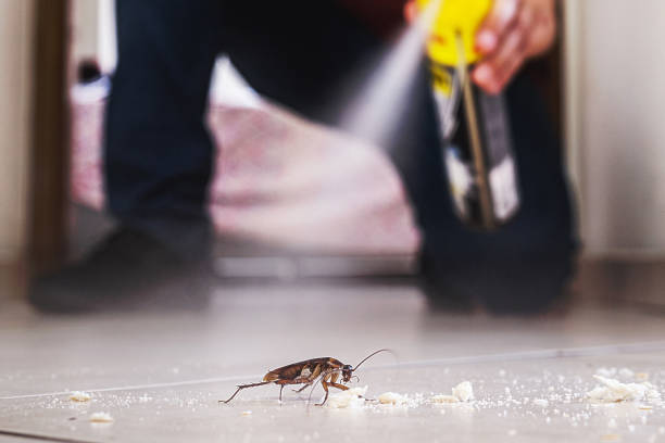 Best Commercial Pest Control Services  in Wellston, OH